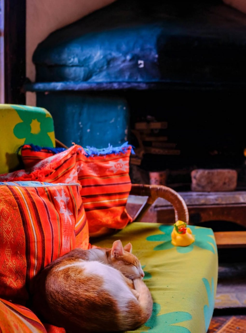 Gato dormido sobre cojines de colores en un salón